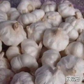 中国大蒜,从种植到市场的全链分析