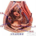 盆腔炎有什么症状呢,识别盆腔炎的五大关键症状