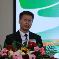 政坛“80后”密集履新,80后领导力崛起，引领时代变革