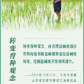 攥紧中国种子 端稳中国饭碗,筑牢国家粮食安全基石