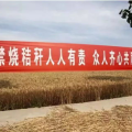 秸秆禁烧,守护蓝天碧水的绿色行动