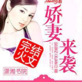 免费完结小说下载txt电子书,许半夏的资本原始积累与道德挣扎