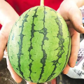 最新吃瓜,明星恋情曝光，幕后真相令人震惊