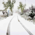 陕西多地下雪,陕西多地迎降雪，冬日美景如画